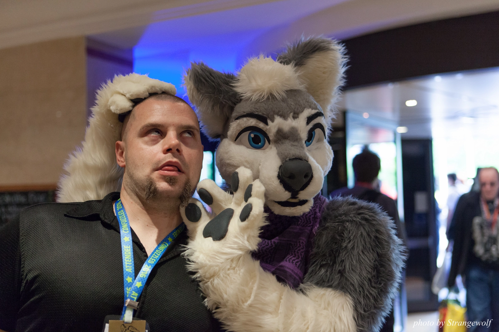 full image IMG_7178-lr16t.jpg