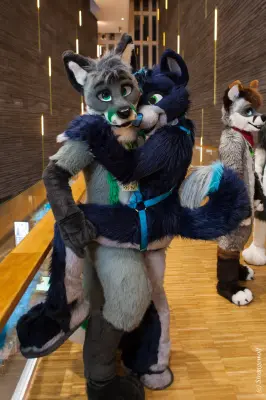 IMG_8317-lr19t.jpg of NFC/NFC2020/