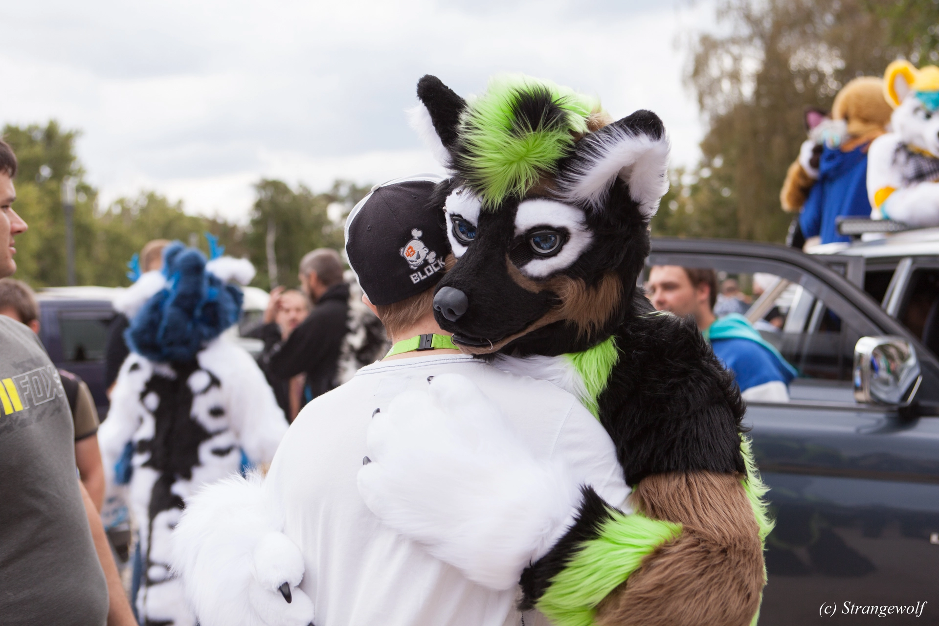 full image IMG_5272-lr19t.jpg