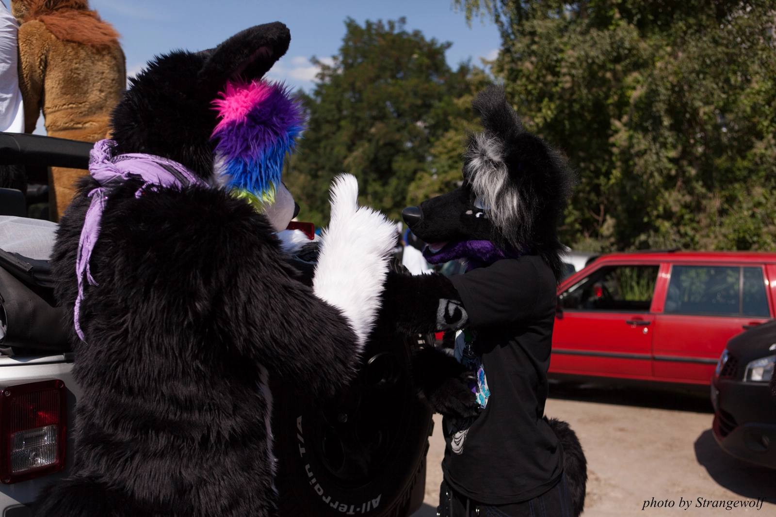 full image IMG_2312-lr16t.jpg