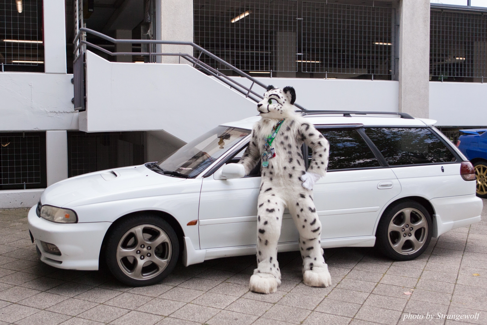 full image IMG_0088-lr16t.jpg
