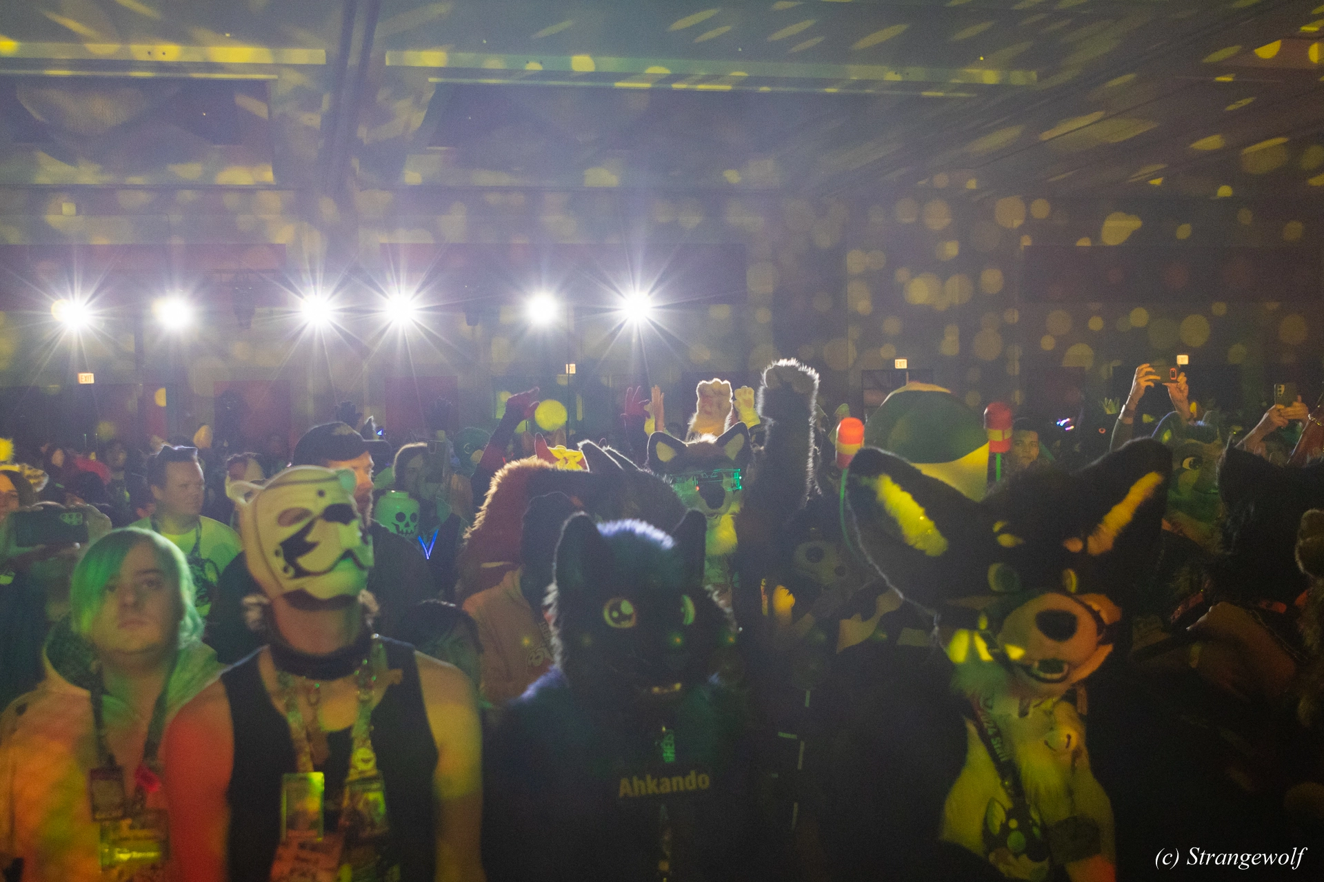 full image 1R3A4669-lr19t.jpg