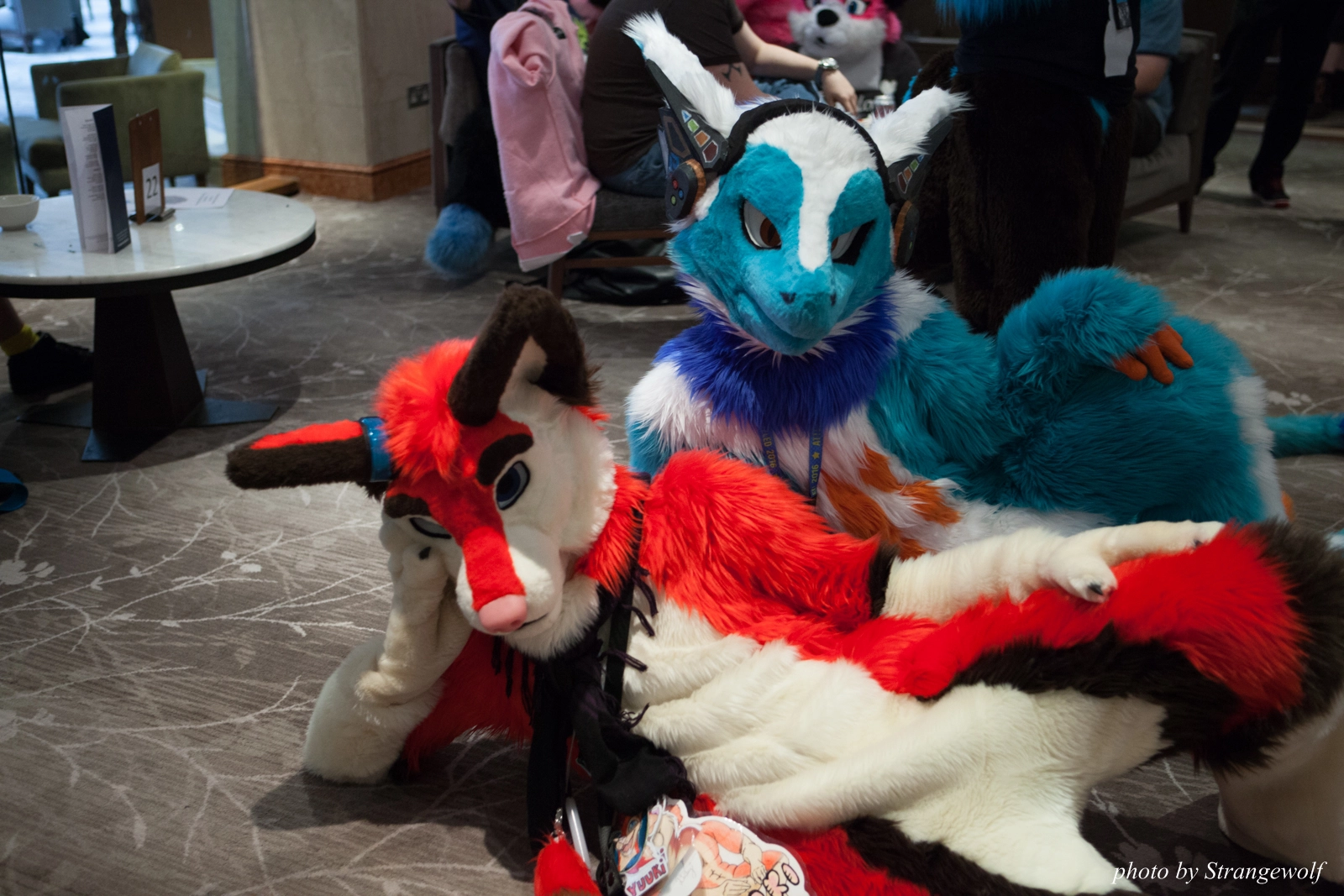 full image IMG_7430-lr16t.jpg