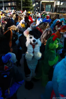 IMG_0704-lr.jpg of MFF/MFF2013/