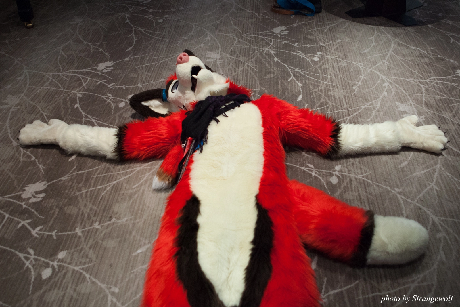 full image IMG_7426-lr16t.jpg