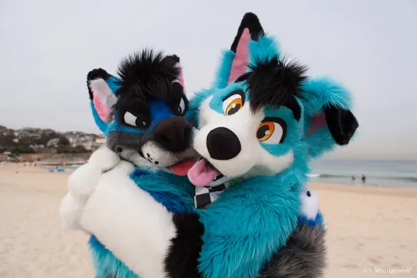 IMG_4498-lr19t.jpg of HCFC/HCFC2019/