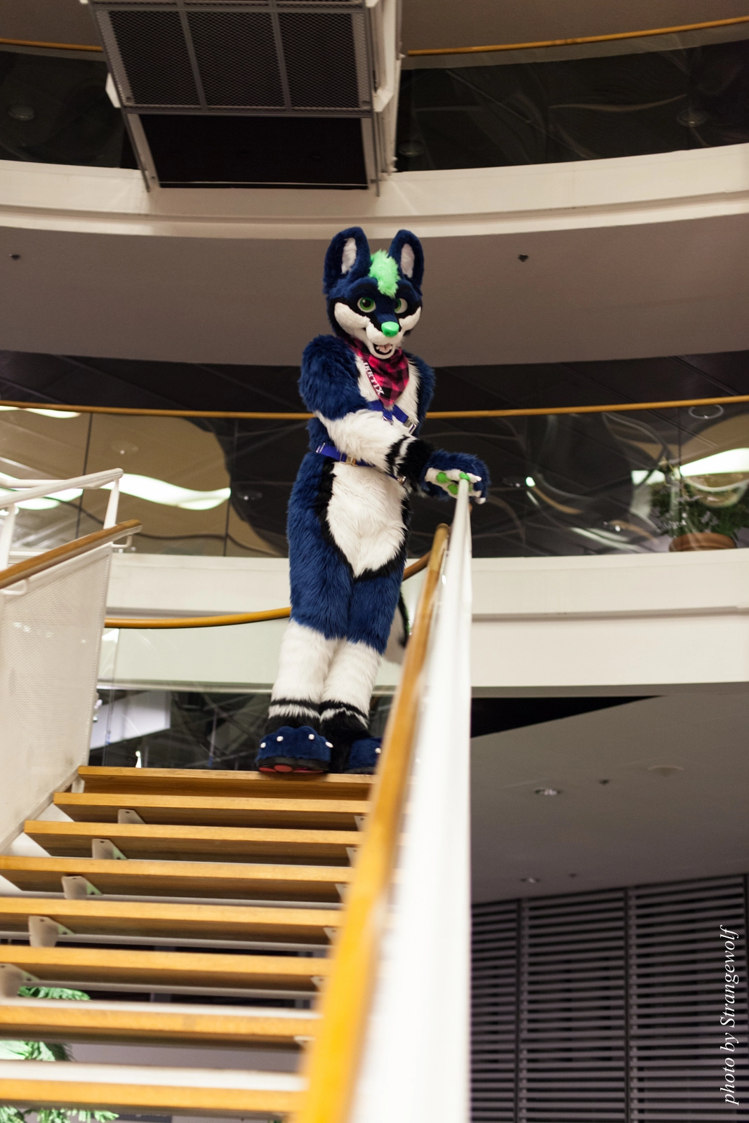 full image IMG_1900-lr16t.jpg