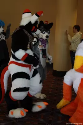 IMG_0582-lr.jpg of MFF/MFF2013/
