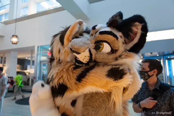IMG_3878-lr19t.jpg of TFF/TFF2022/