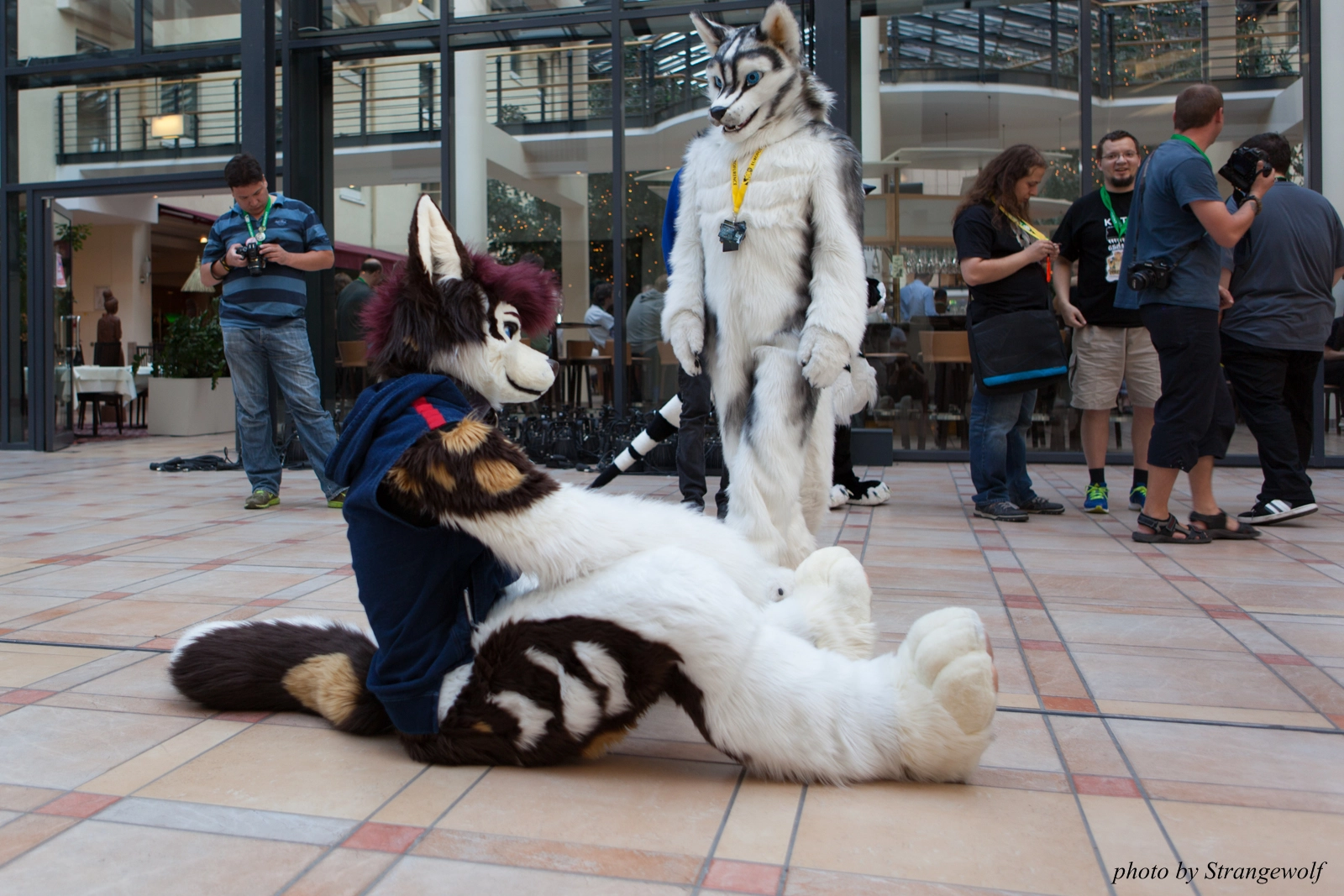 full image IMG_3185-lr16t.jpg