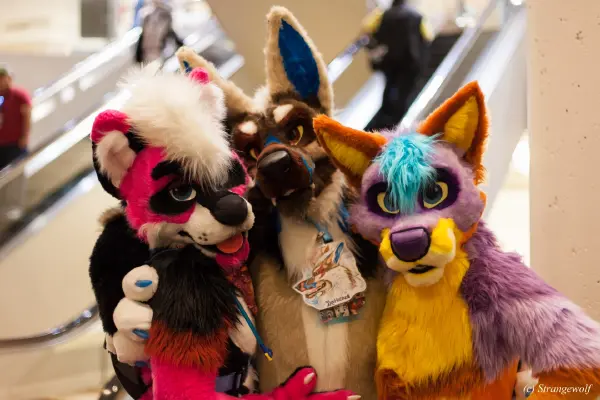 IMG_1833-lr19t.jpg of FWA/FWA2018/