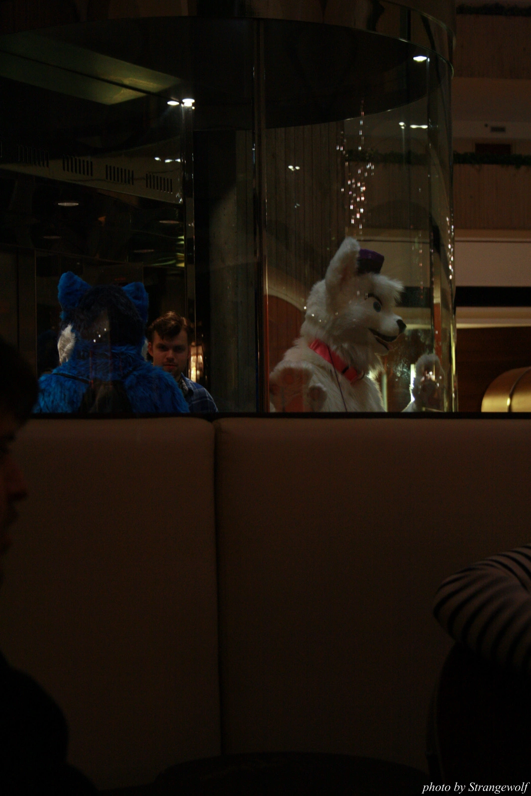 full image IMG_0368-lr.jpg