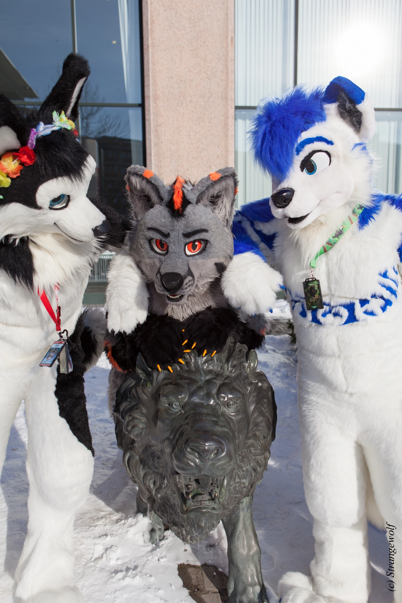 full image IMG_9674-lr19t.jpg