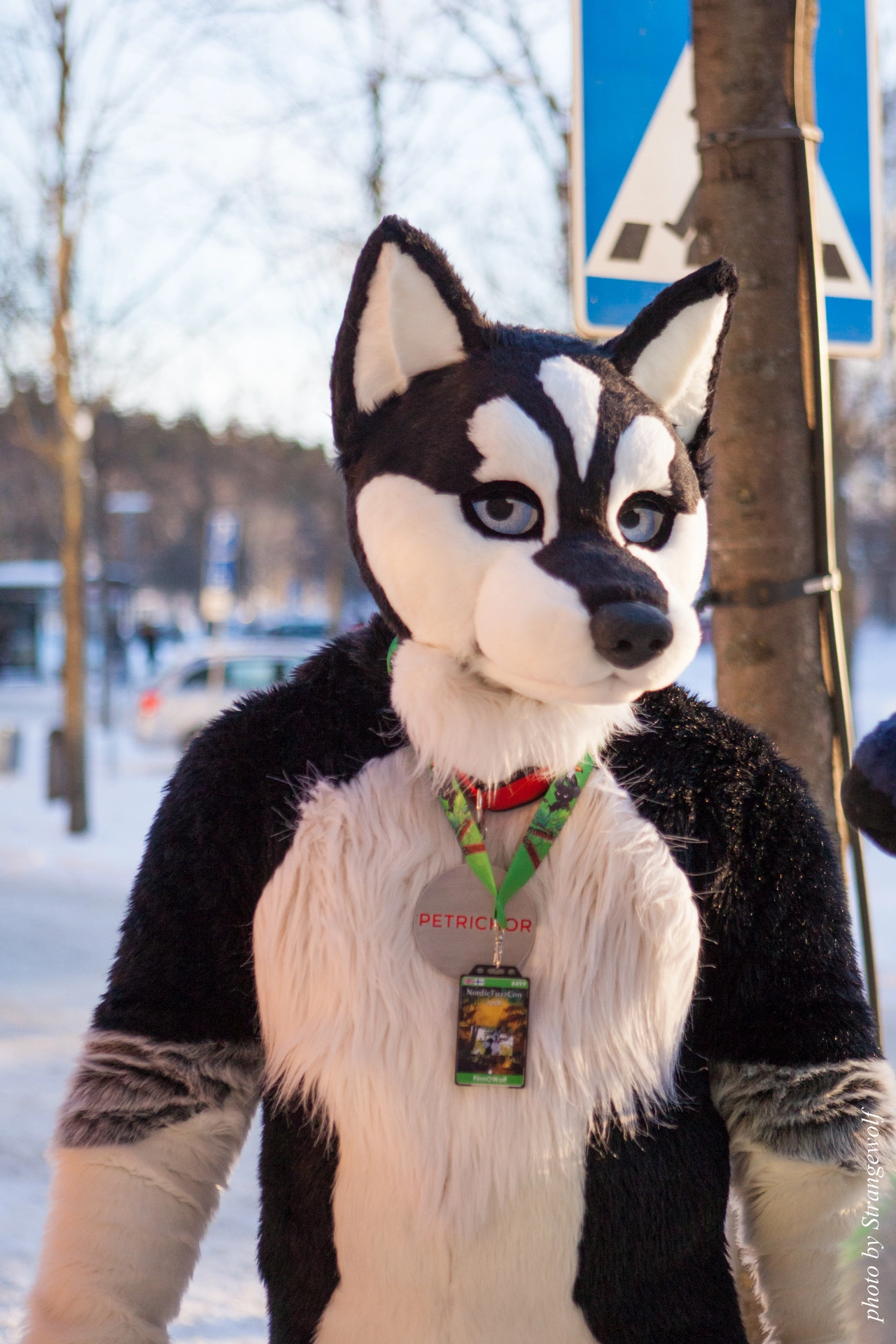 full image IMG_9148-lr19t.jpg