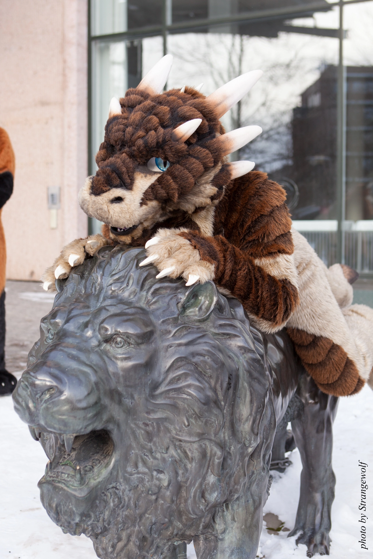 full image IMG_0357-lr19t.jpg