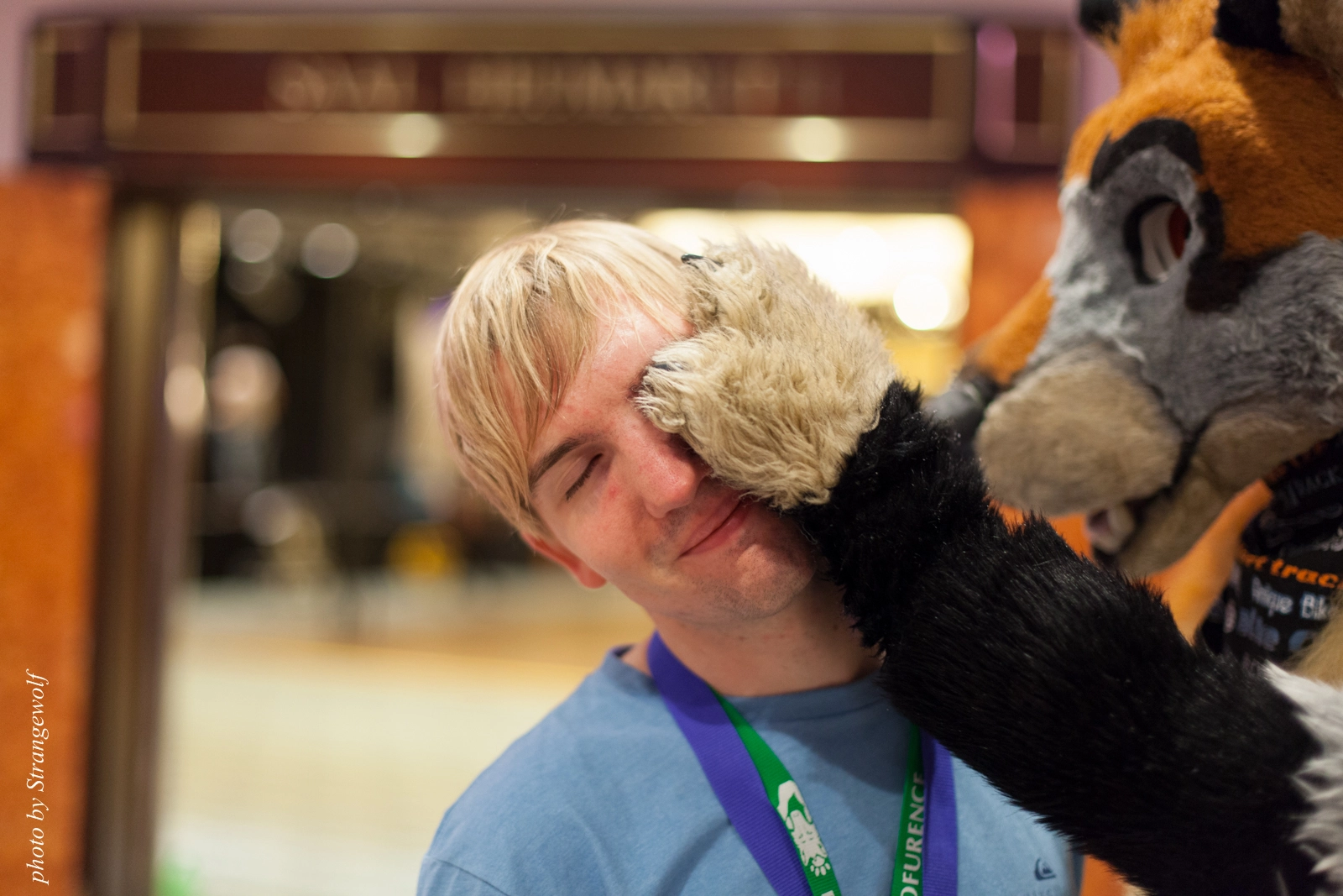 full image IMG_8862-lr16t.jpg