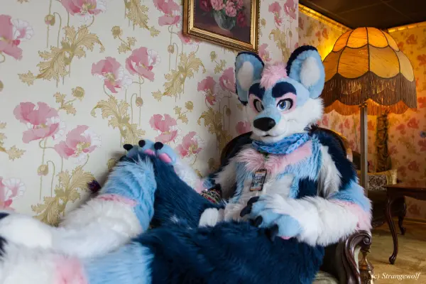 IMG_8447-lr19t.jpg of NFC/NFC2020/