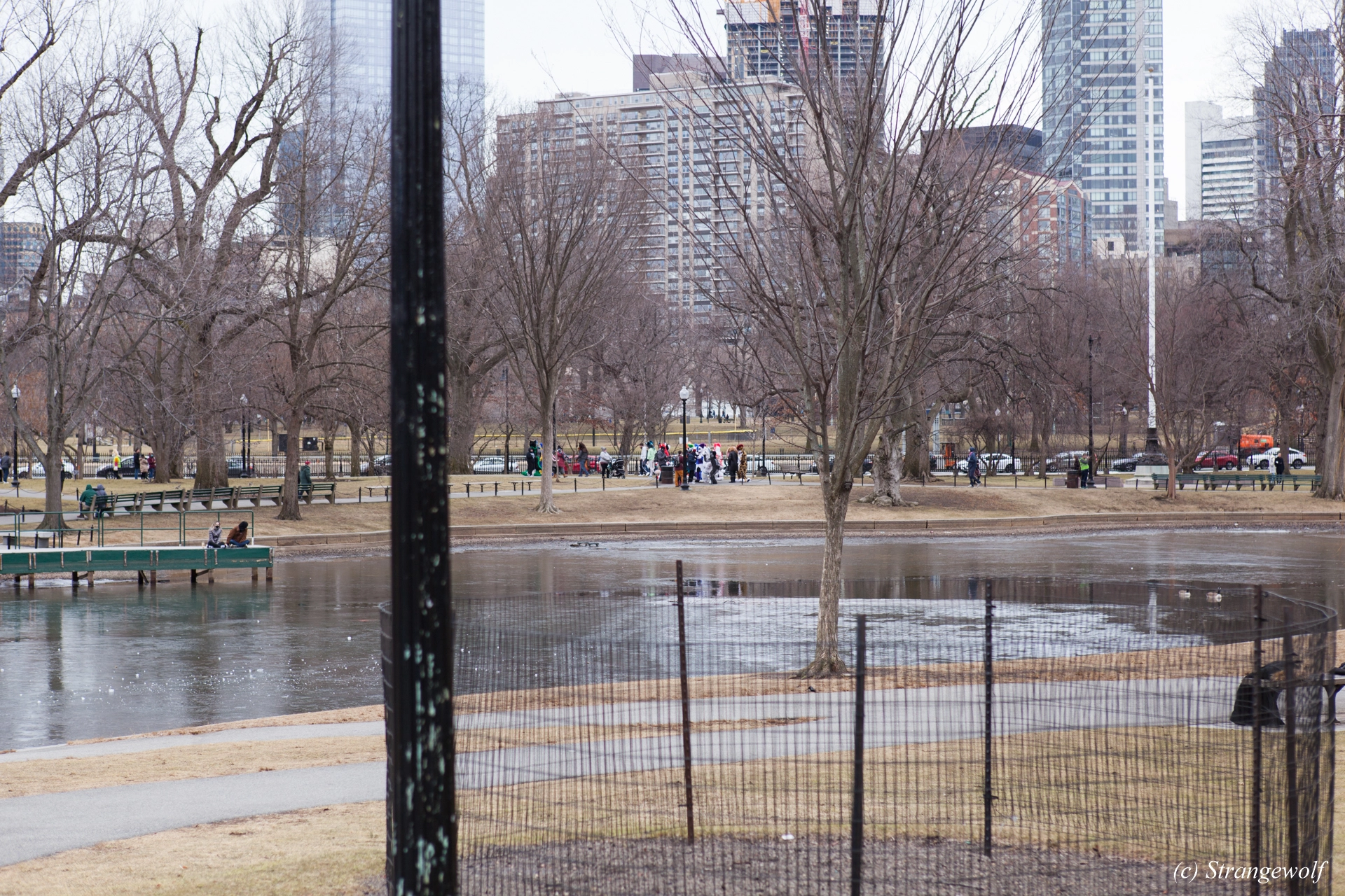 full image IMG_3095-lr19t.jpg