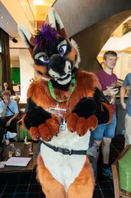 1R3A9361-lr19t.jpg of EF/EF29/