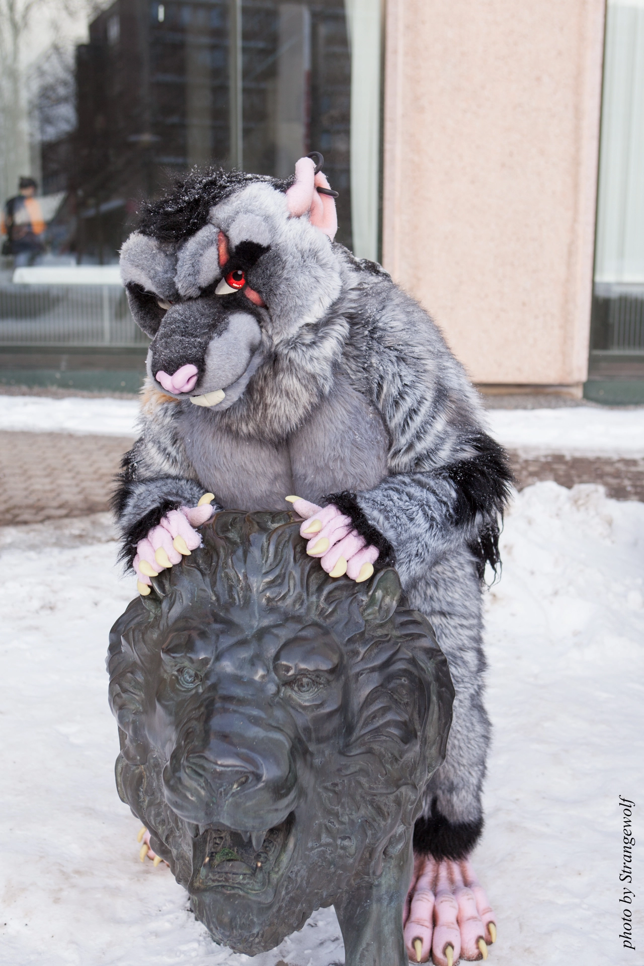 full image IMG_0365-lr19t.jpg