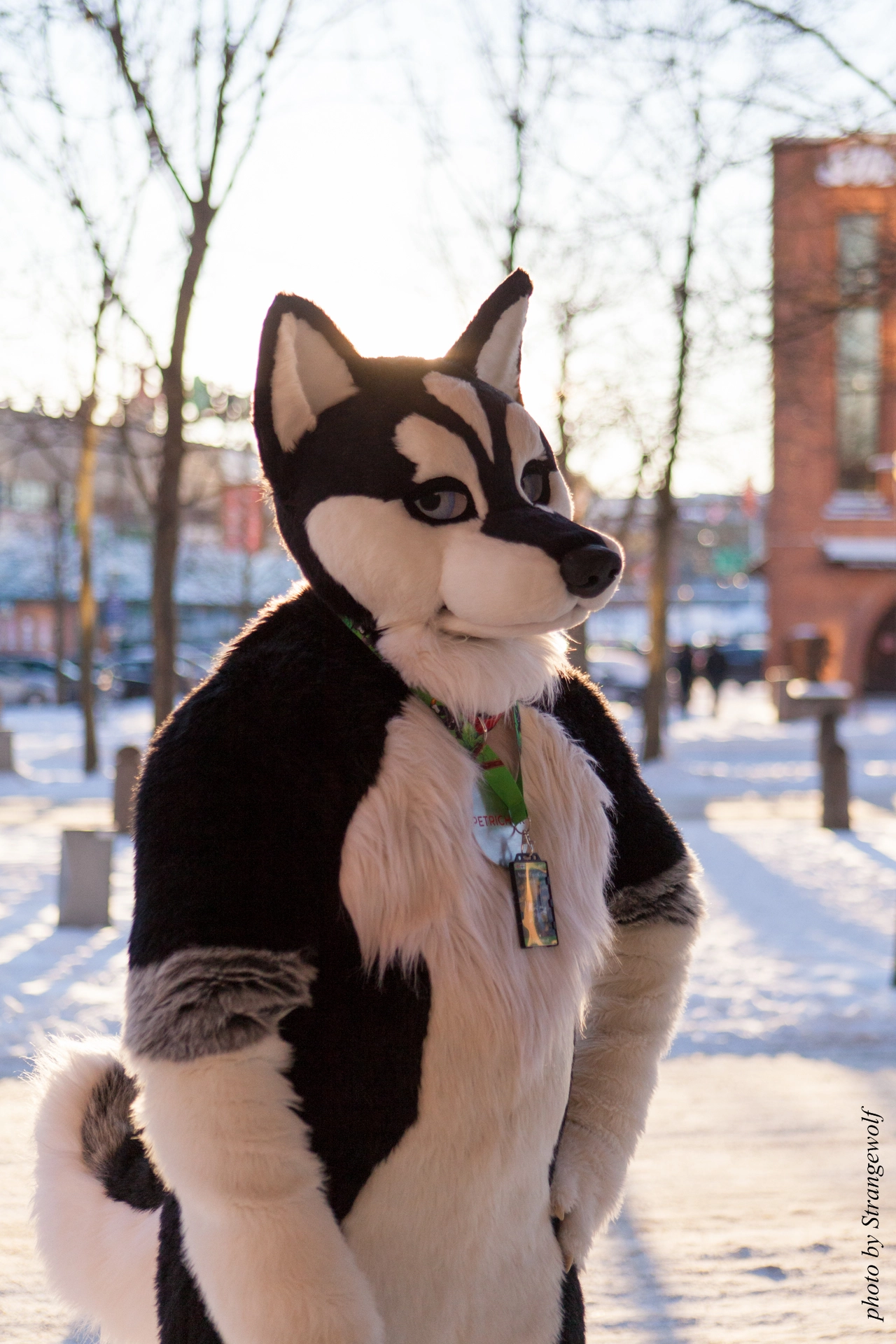 full image IMG_9174-lr19t.jpg