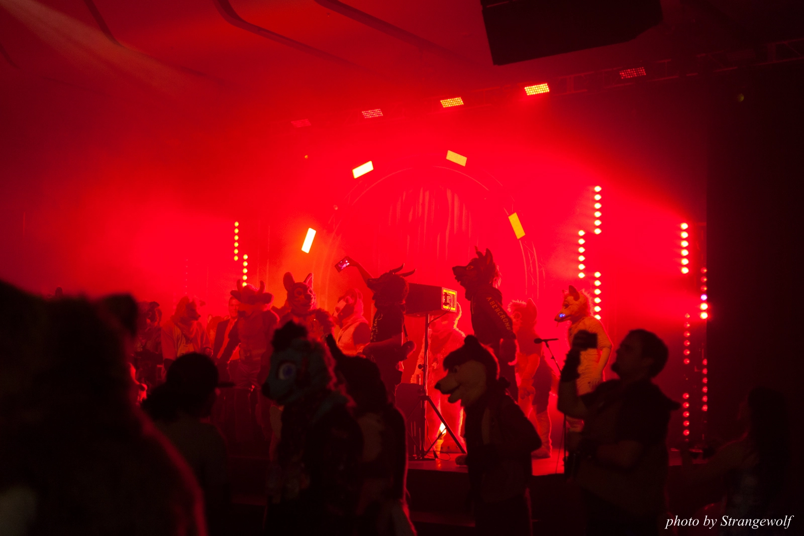 full image IMG_1344-lr16t.jpg