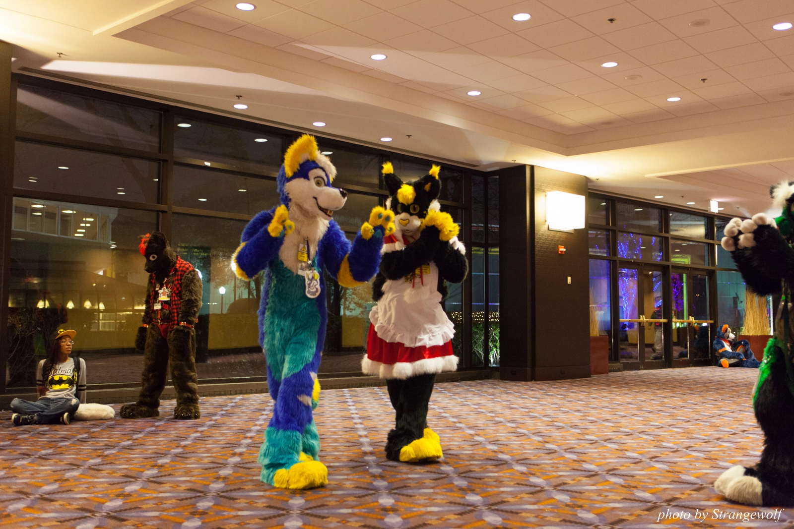 full image IMG_5951-lr16t.jpg