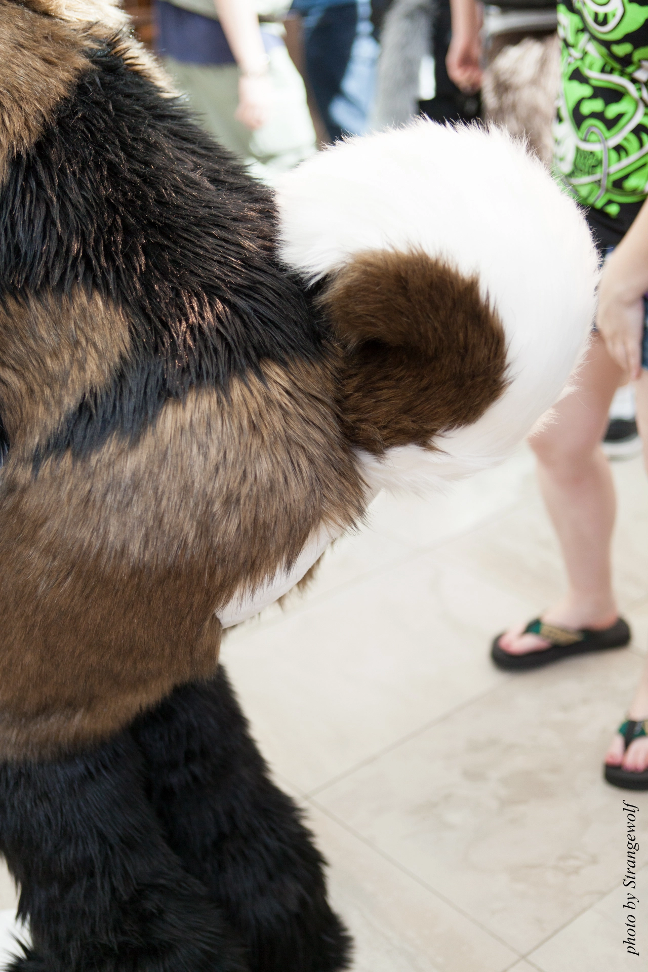 full image IMG_4957-lr19t.jpg