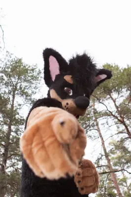 IMG_8595-lr19t.jpg of NFC/NFC2019/Shoot-Strife_Carlito/