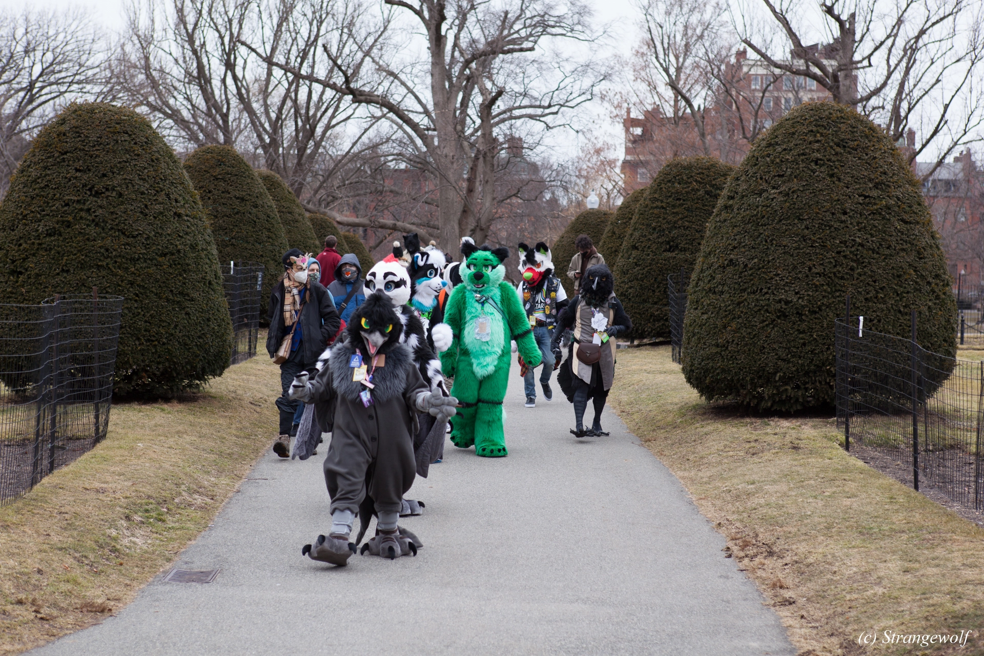 full image IMG_3279-lr19t.jpg
