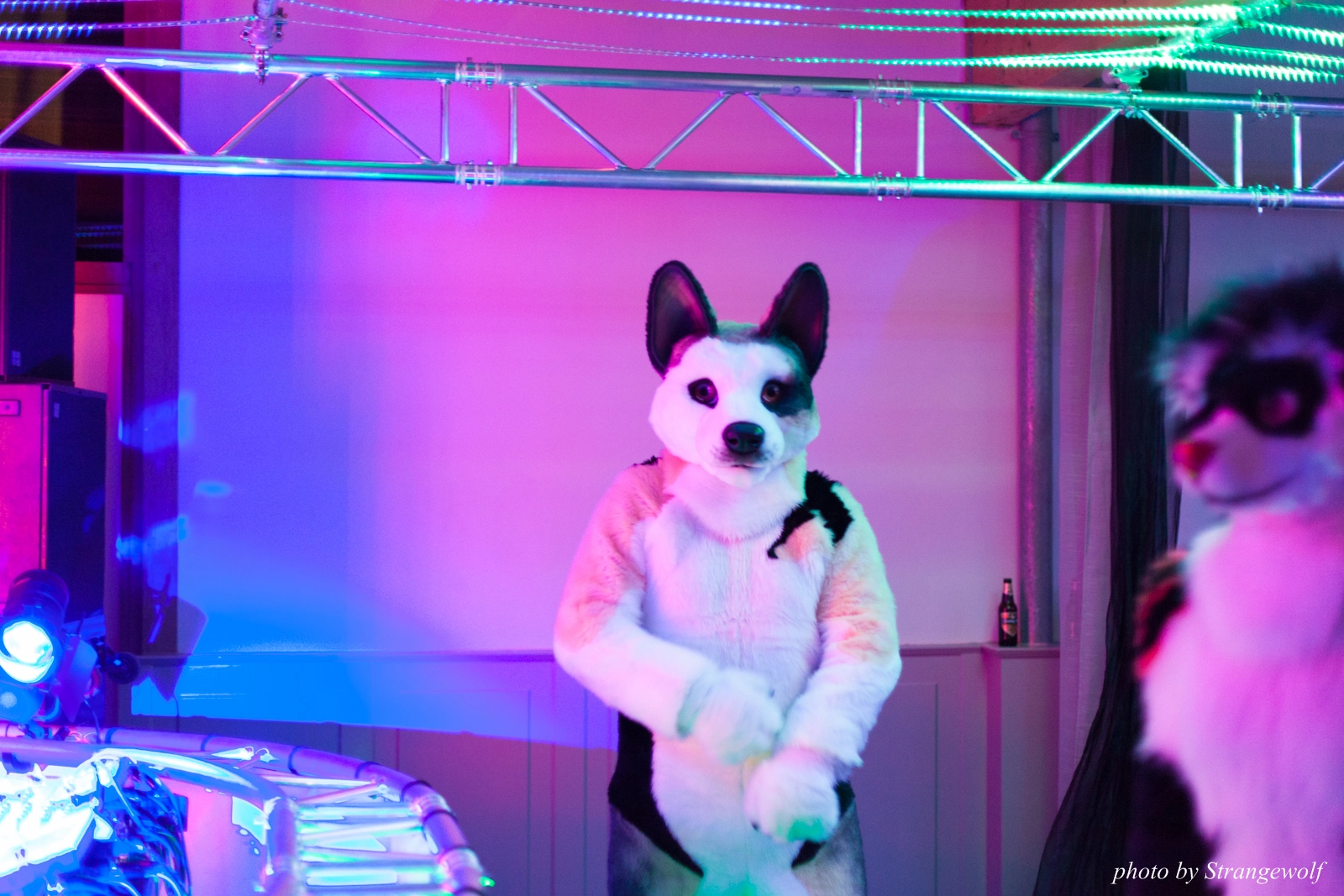 full image IMG_5406-lr16t.jpg