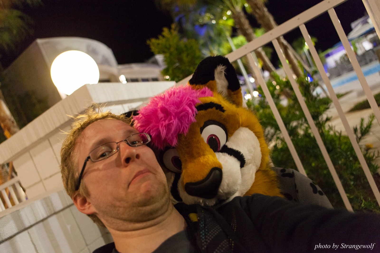 full image IMG_8070-lr16t.jpg