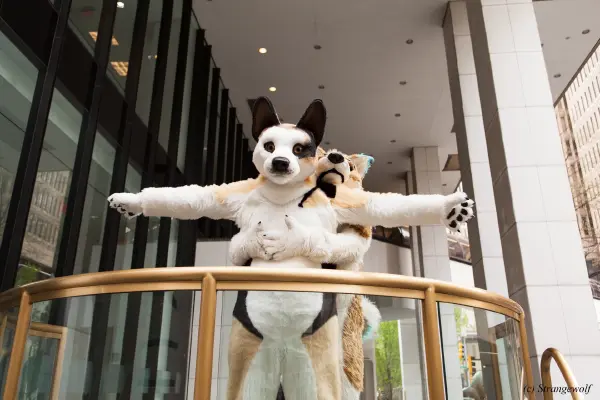 IMG_1722-lr19t.jpg of FWA/FWA2018/