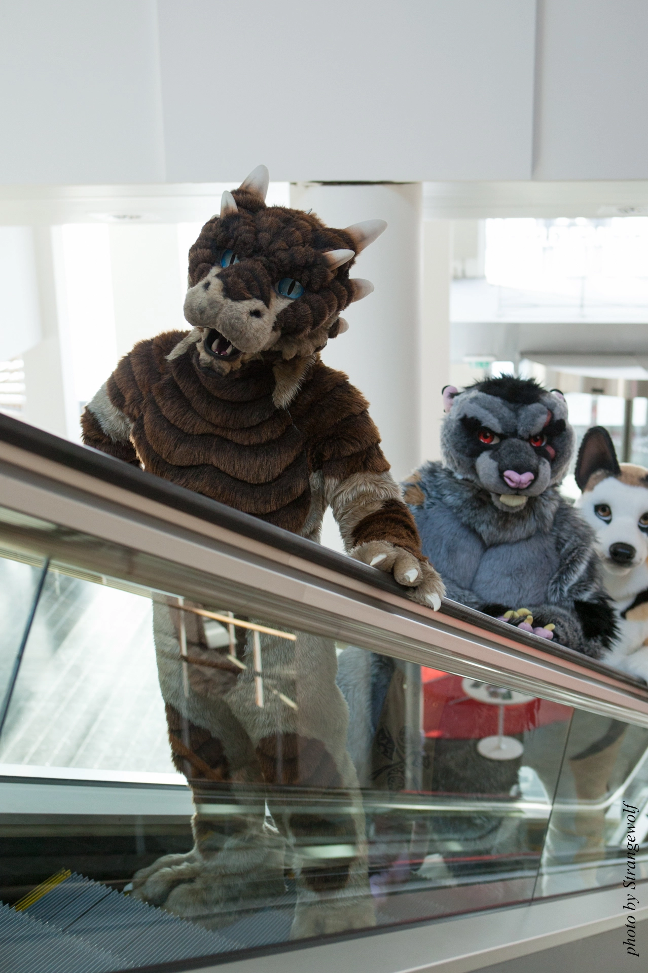 full image IMG_0399-lr19t.jpg