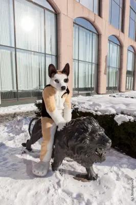 IMG_9555-lr19t.jpg of NFC/NFC2018/