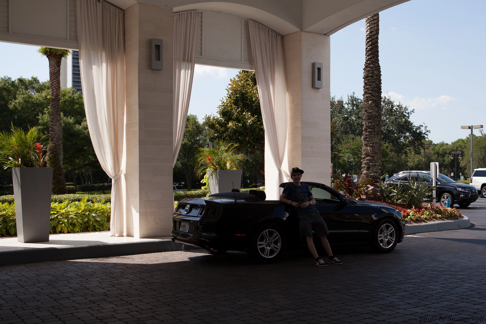 full image IMG_8851-lr16t.jpg