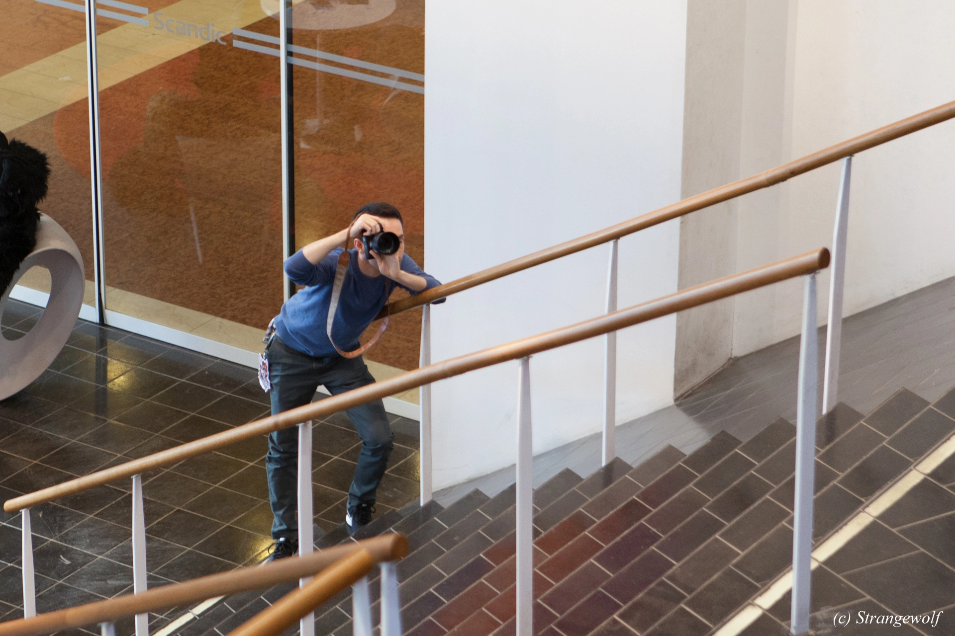 full image IMG_8766-lr19t.jpg