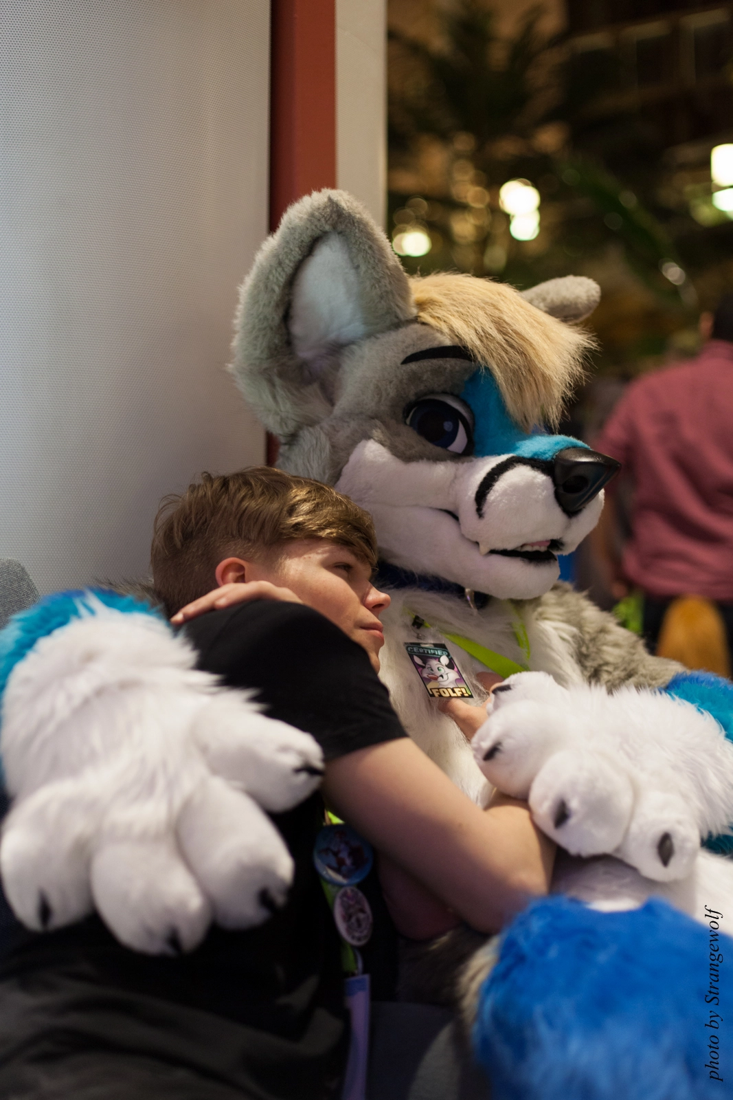 full image IMG_2512-lr16t.jpg