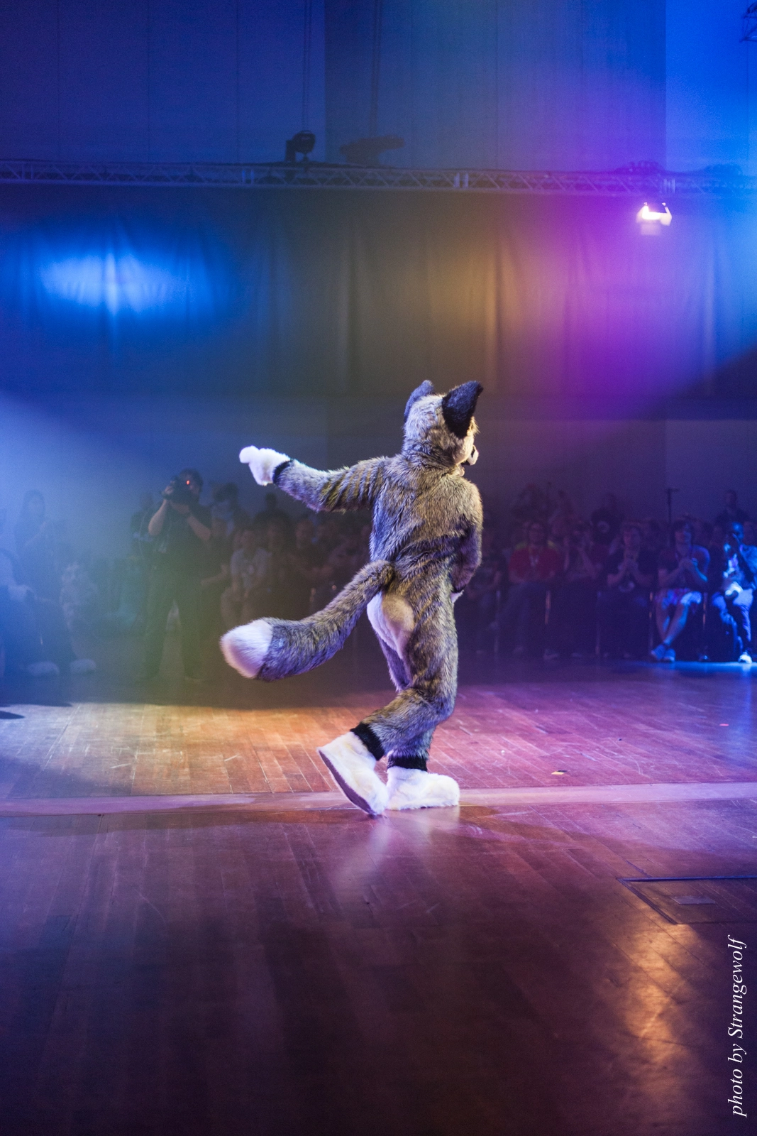 full image IMG_2963-lr16t.jpg