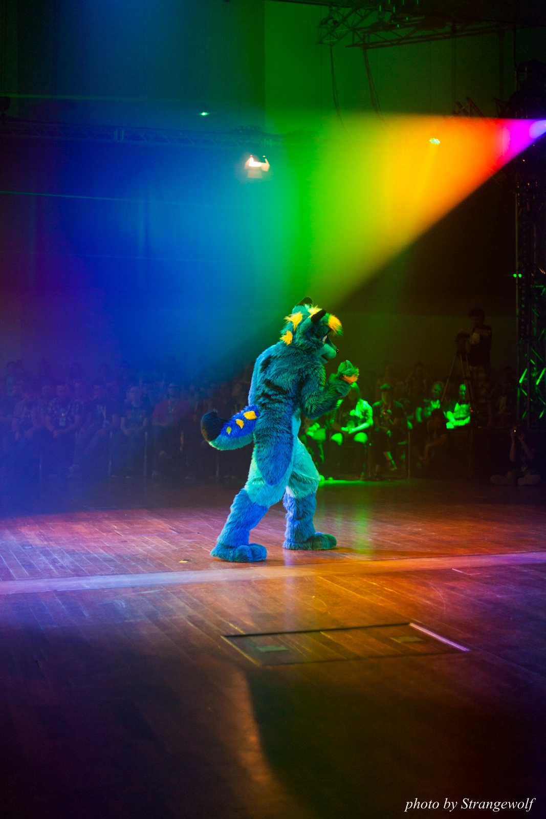 full image IMG_2835-lr16t-2.jpg