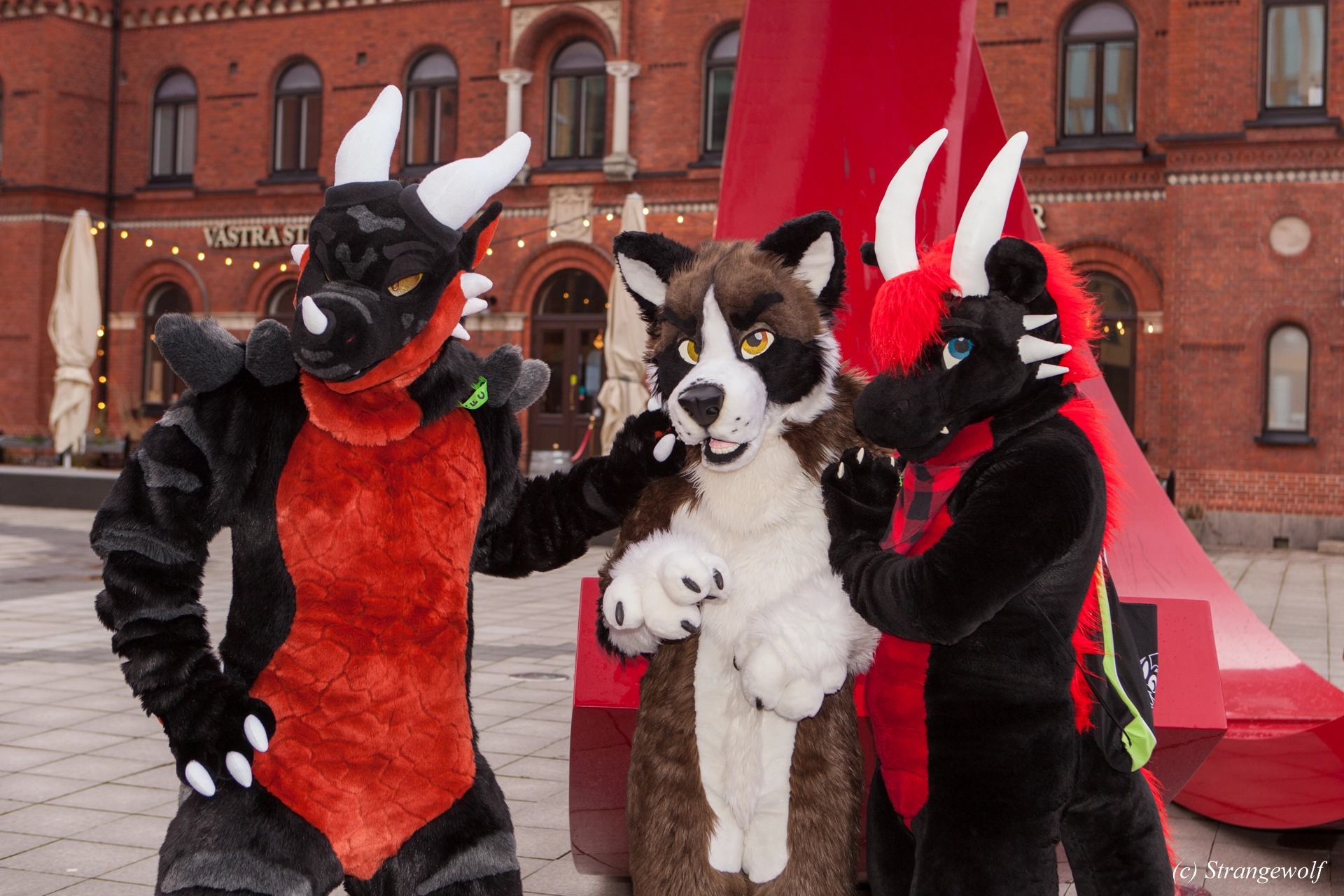 full image IMG_8976-lr19t.jpg