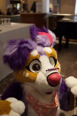 IMG_7536-lr16t.jpg of CFZ/CFZ2016/