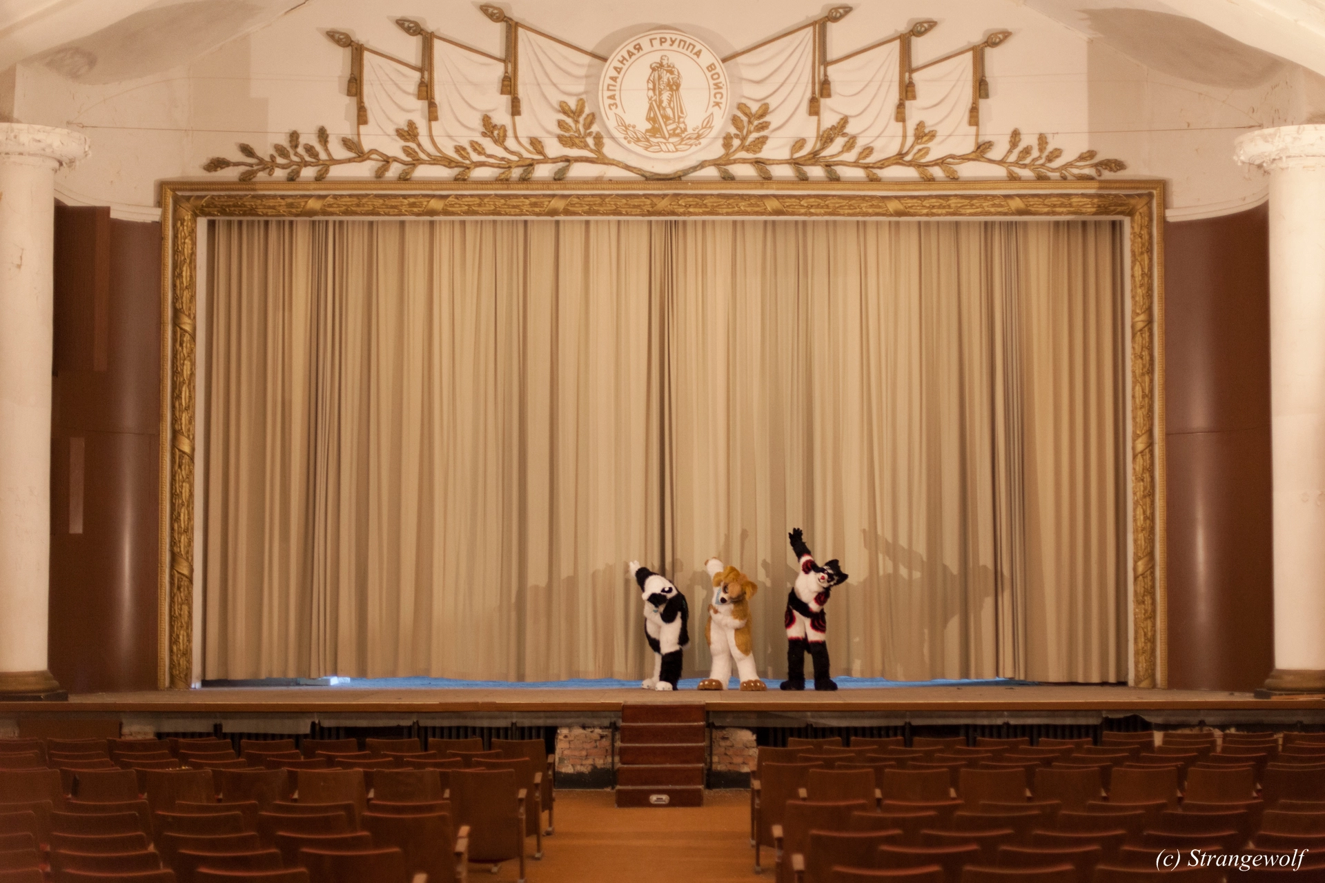 full image IMG_5831-lr19t.jpg