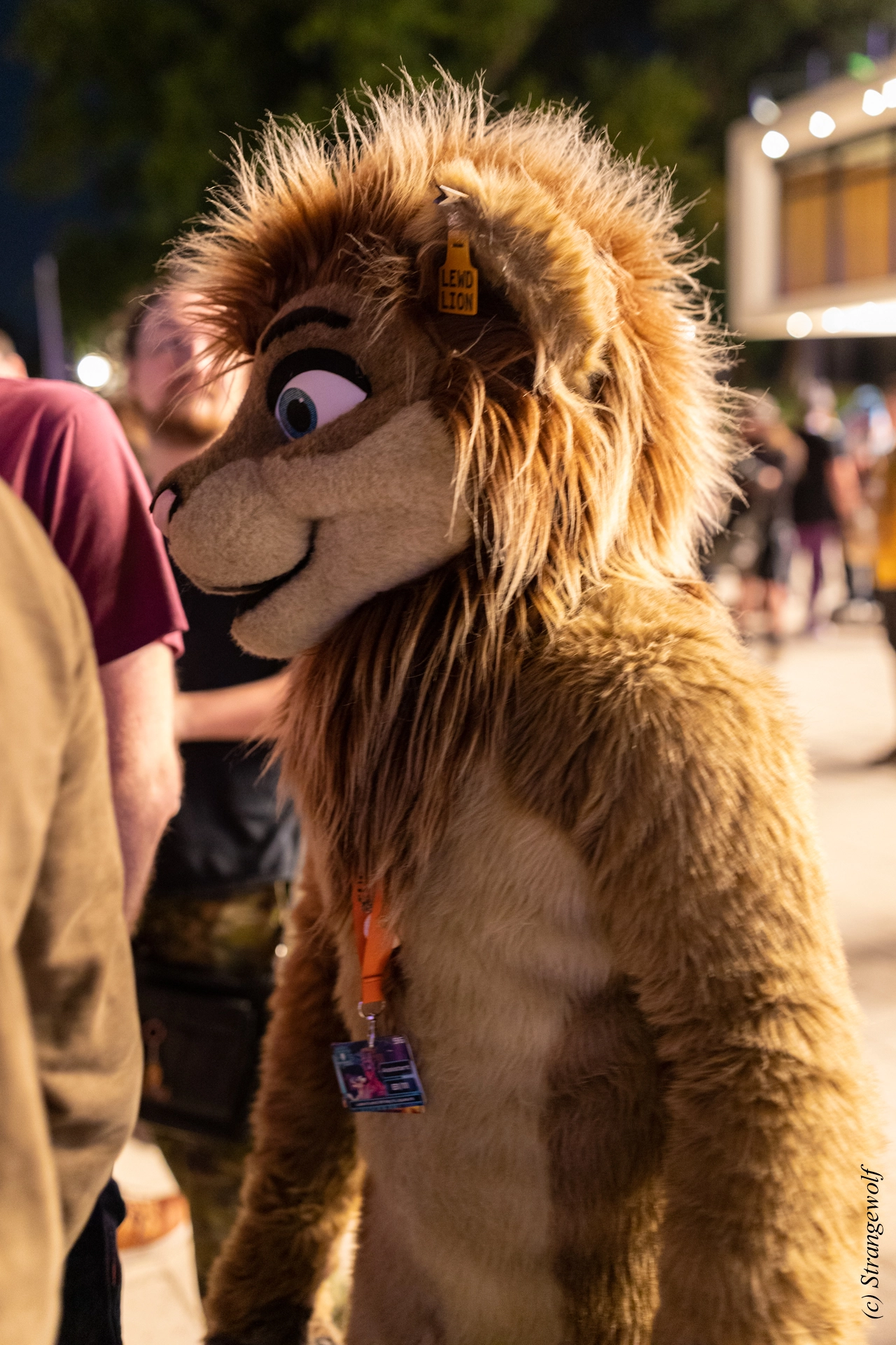 full image 1R3A9527-lr19t.jpg