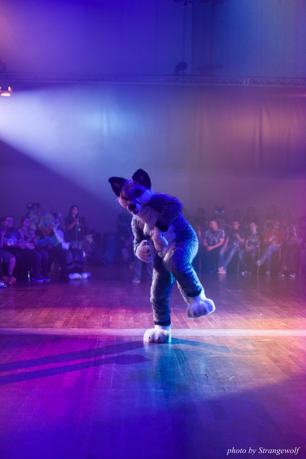 full image IMG_2949-lr16t.jpg