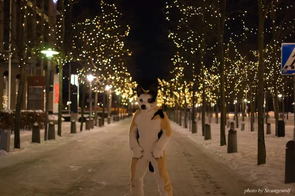 IMG_9264-lr19t.jpg of NFC/NFC2018/