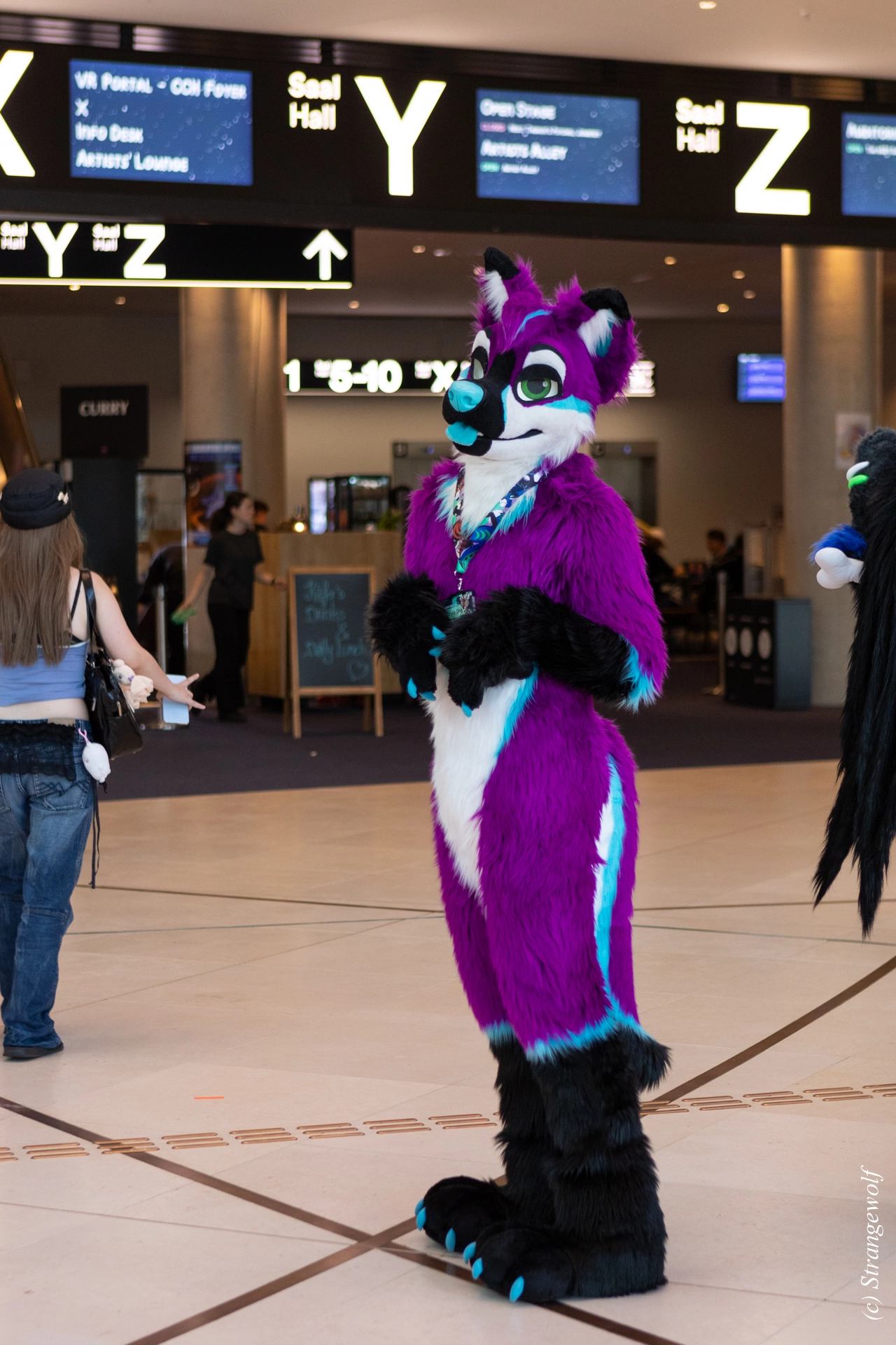 full image 1R3A9034-lr19t.jpg