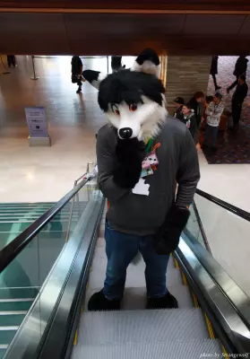IMG_0892-lr.jpg of MFF/MFF2013/