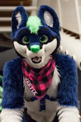 IMG_1937-lr16t.jpg of NFC/NFC2017/