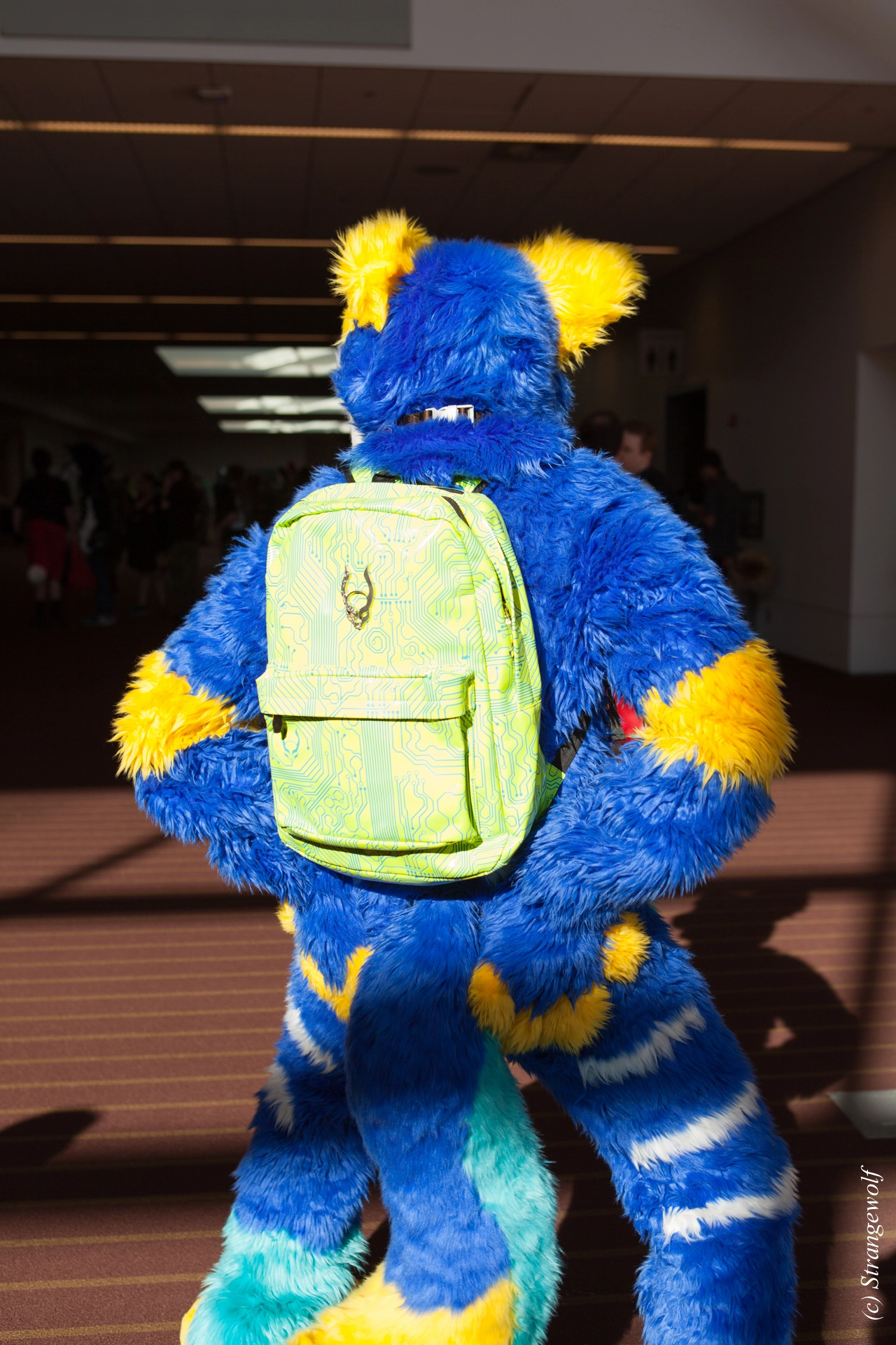 full image IMG_4369-lr19t.jpg